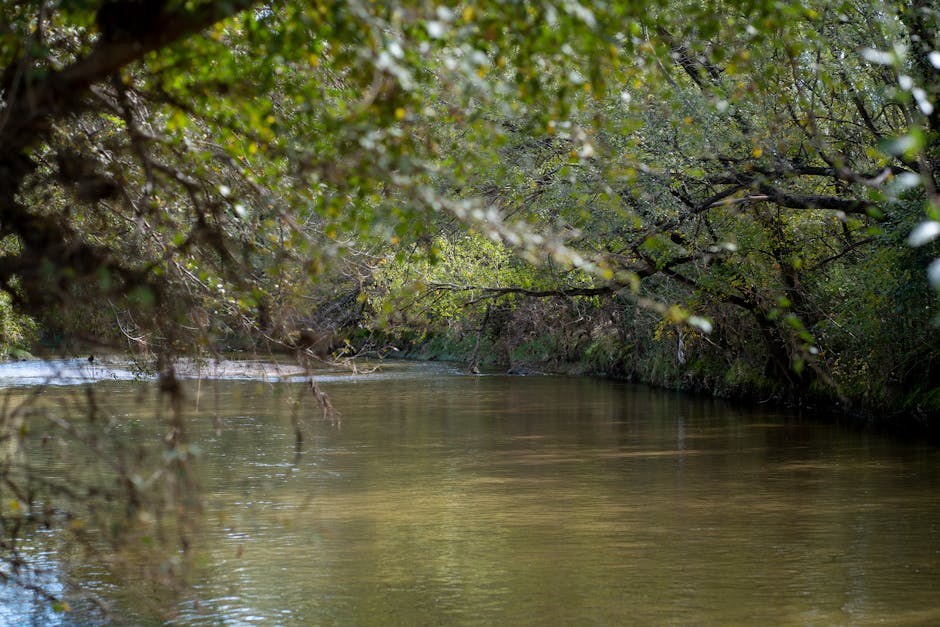 mesoterapia Barcelona